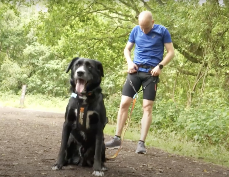 We Tried Canicross How Much Faster Can You Run With a Dog? Speed